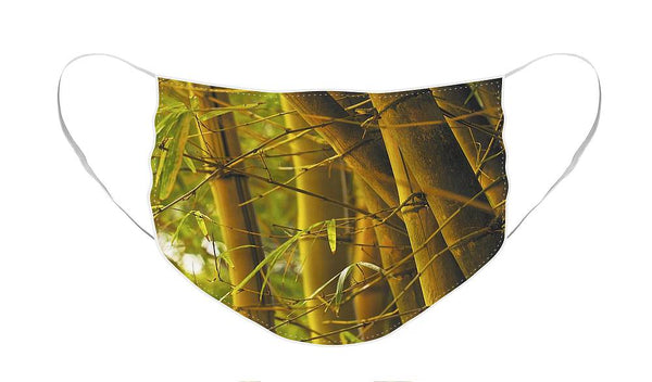 https://jade-moon.pixels.com/featured/bamboo-gold-jade-moon-.html?product=face-mask