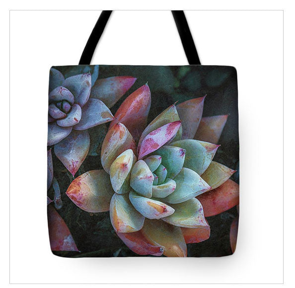 https://fineartamerica.com/products/color-book-succulents-jade-moon-tote-bag.html