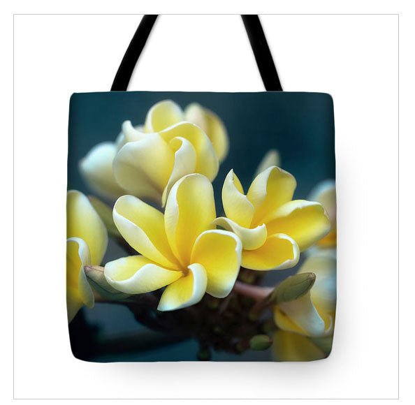 https://fineartamerica.com/featured/plumerias-out-of-the-blue-jade-moon.html?product=tote-bag