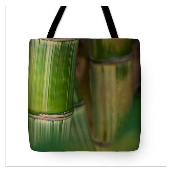https://fineartamerica.com/featured/bamboo-forest-jade-moon-.html?product=tote-bag