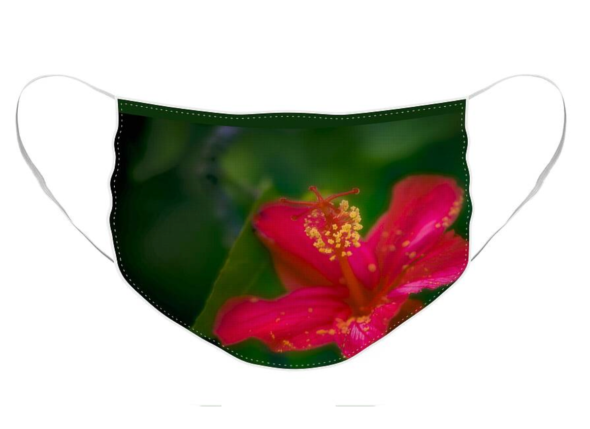 https://jade-moon.pixels.com/featured/pretty-red-hibiscus-jade-moon.html?product=face-mask