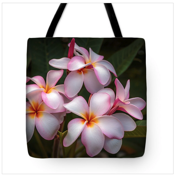 https://fineartamerica.com/featured/kauai-beauties-jade-moon.html?product=tote-bag