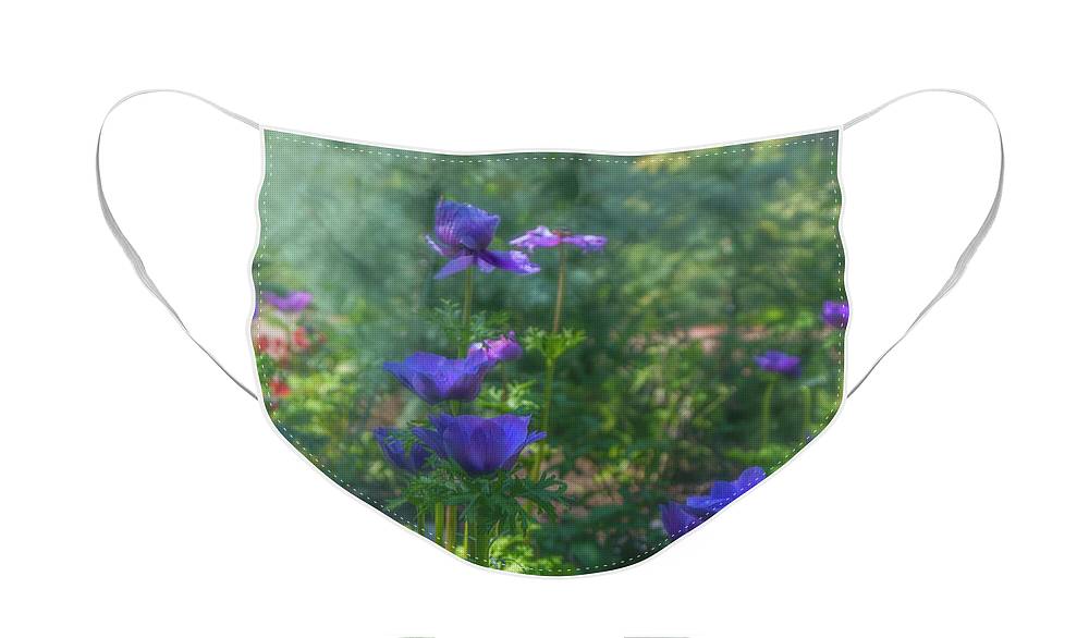 https://jade-moon.pixels.com/featured/anemone-flowers-in-the-sun-garden-jade-moon.html?product=face-mask