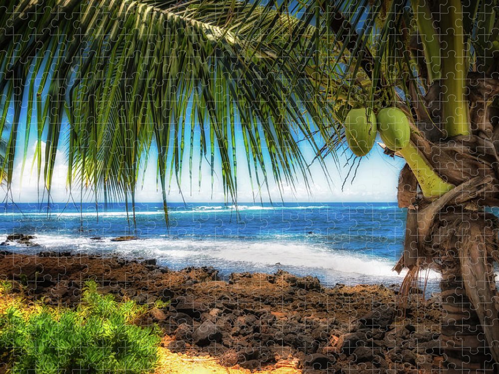 https://jade-moon.pixels.com/featured/beautiful-kauai-jade-moon.html?product=puzzle&puzzleType=puzzle-18-24