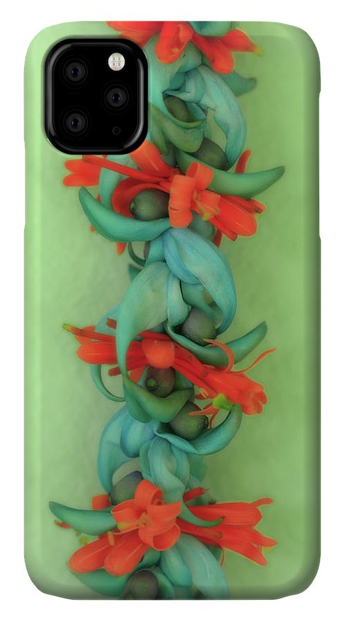 https://jade-moon.pixels.com/featured/blue-jade-and-huapala-lei-jade-moon.html?product=iphone-case-cover