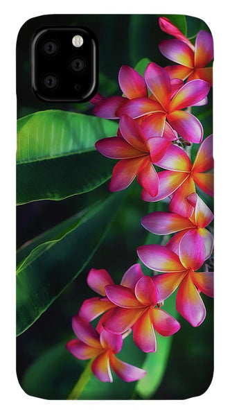 https://jade-moon.pixels.com/featured/brilliant-and-moody-plumerias-jade-moon.html?product=iphone-case-cover