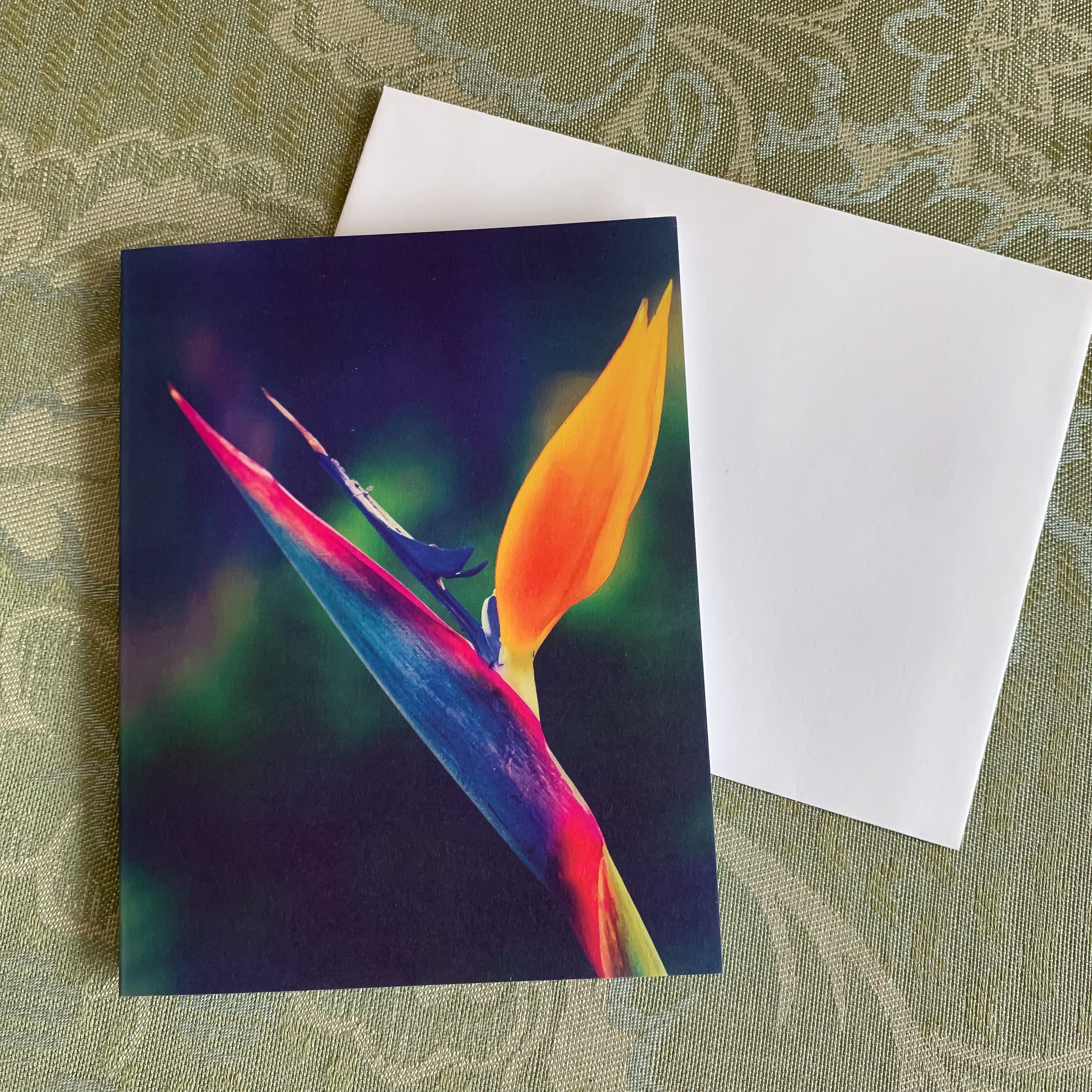https://jademoonphotography.com/products/taking-flight-note-cards