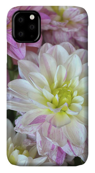 Dahlias in Full Bloom - Phone Case