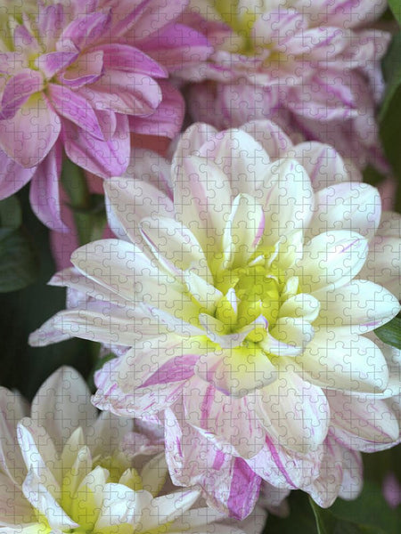 https://jade-moon.pixels.com/featured/dahlias-in-full-bloom-jade-moon.html?product=puzzle&puzzleType=puzzle-18-24