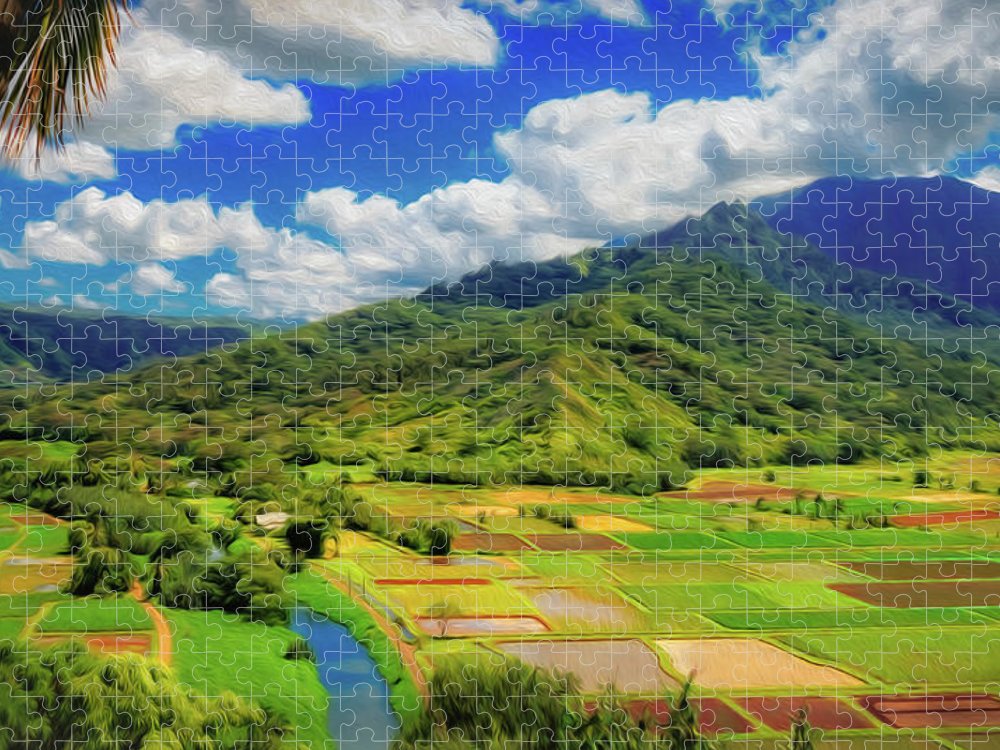 https://jade-moon.pixels.com/featured/hanalei-valley-lookout-jade-moon.html?product=puzzle&puzzleType=puzzle-18-24