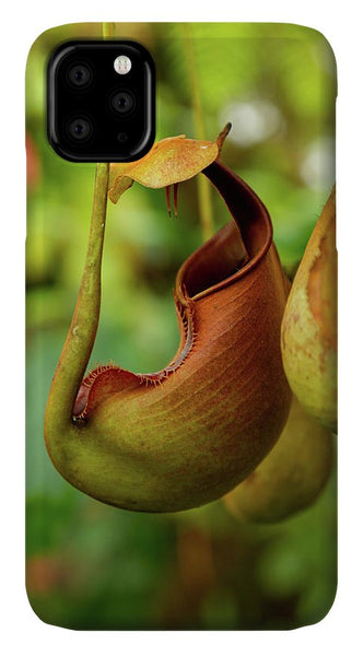 Pitcher Plant - Phone Case