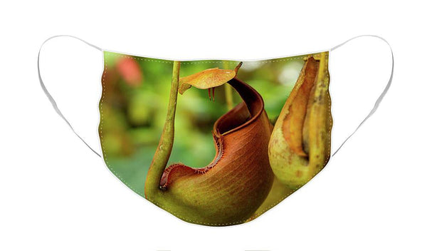 Pitcher Plant - Face Mask