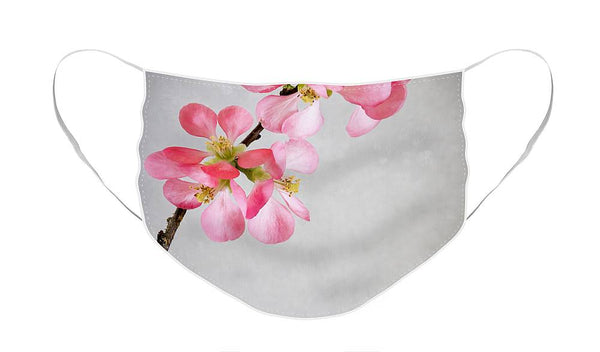 Plum Blossoms - Face Mask