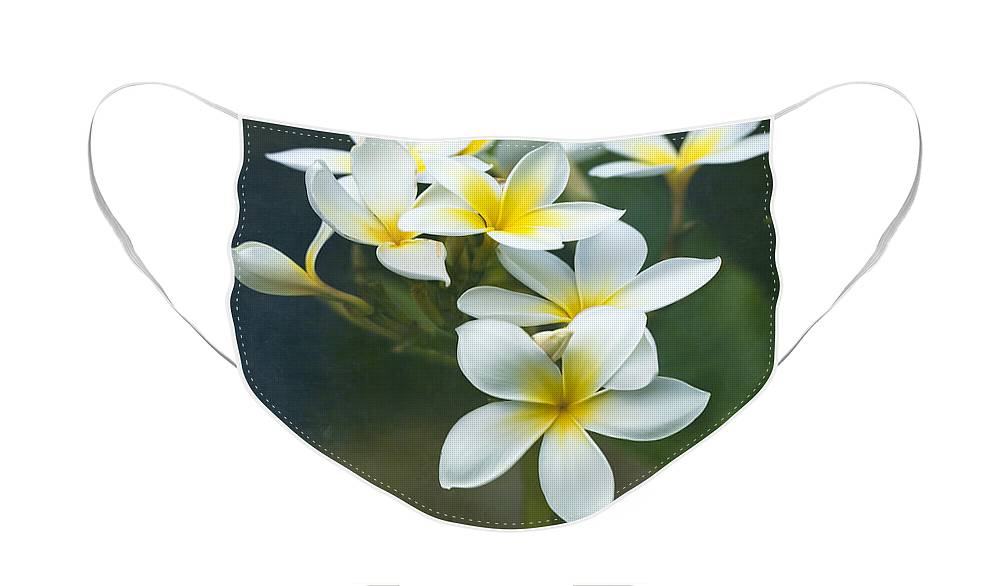 https://jade-moon.pixels.com/featured/plumerias-on-a-cloudy-day-jade-moon-.html?product=face-mask