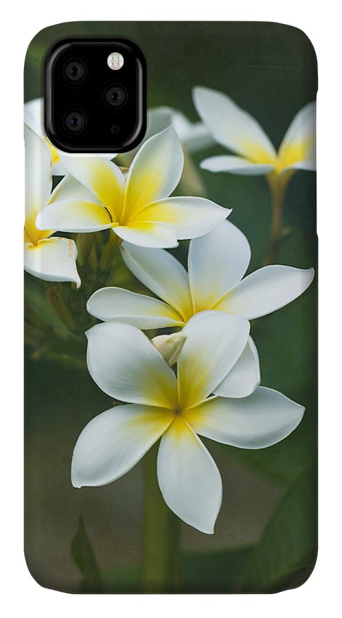 https://jade-moon.pixels.com/featured/plumerias-on-a-cloudy-day-jade-moon-.html?product=iphone-case-cover