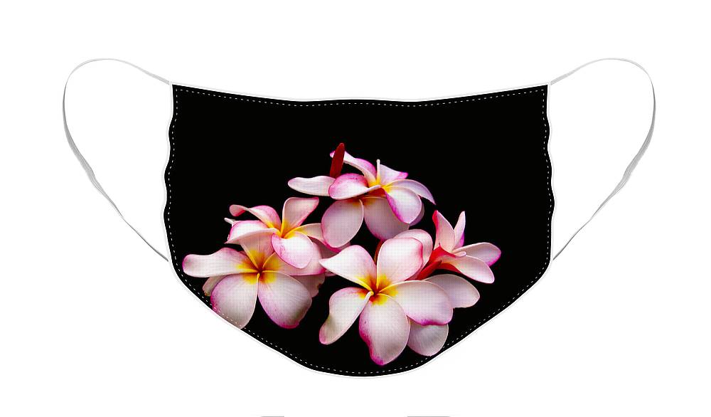 https://jade-moon.pixels.com/featured/plumerias-on-black-jade-moon.html?product=face-mask