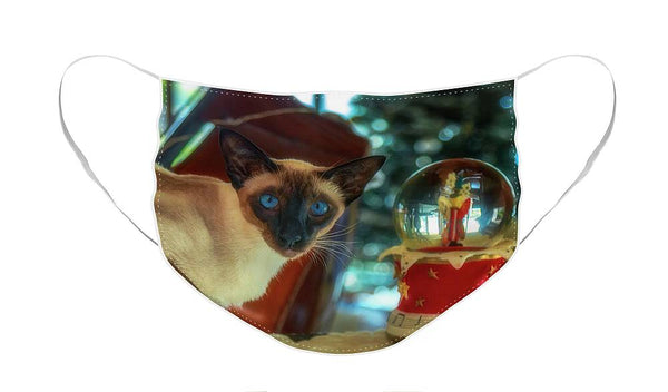 https://jade-moon.pixels.com/featured/purr-fect-christmas-jade-moon.html?product=face-mask