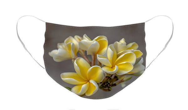 Royal Yellow Plumerias - Face Mask