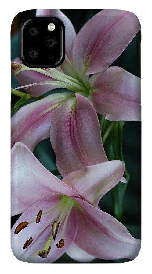 https://jade-moon.pixels.com/featured/two-lilies-jade-moon.html?product=iphone-case-cover