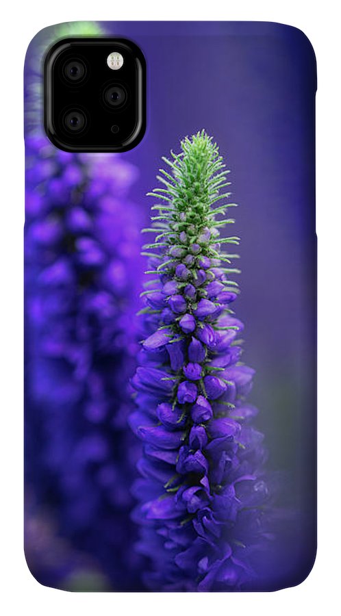 https://jade-moon.pixels.com/featured/veronica-wildflowers-jade-moon.html?product=iphone-case-cover