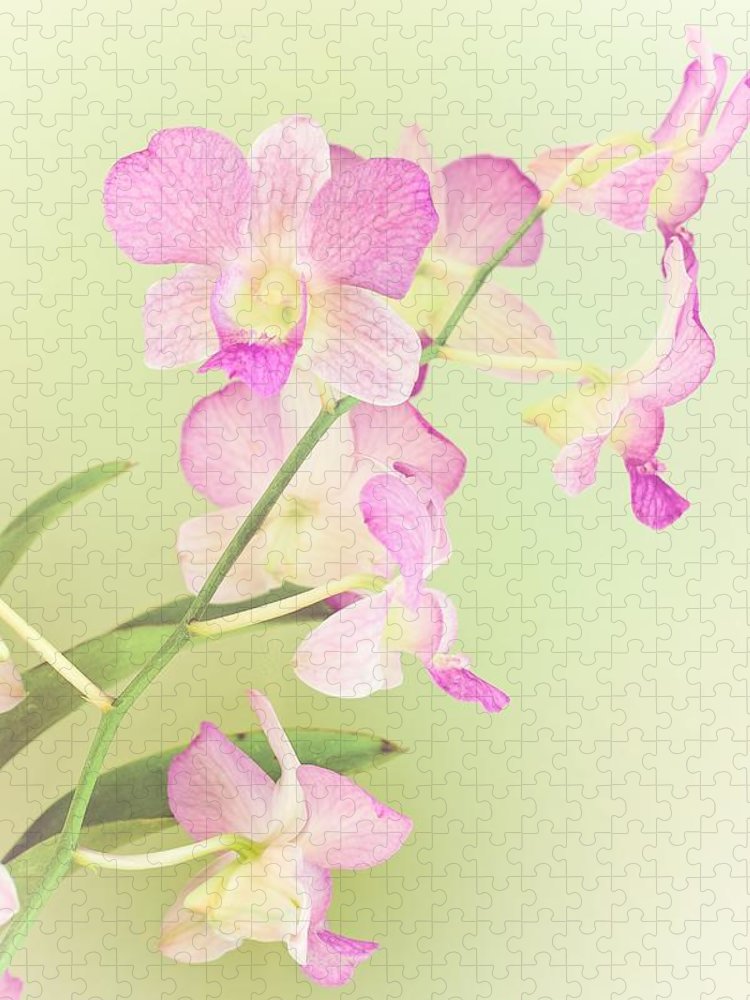 Watercolor Orchids - Puzzle