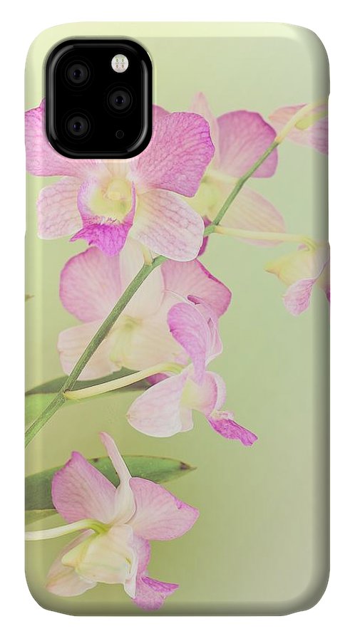 Watercolor Orchids - Phone Case